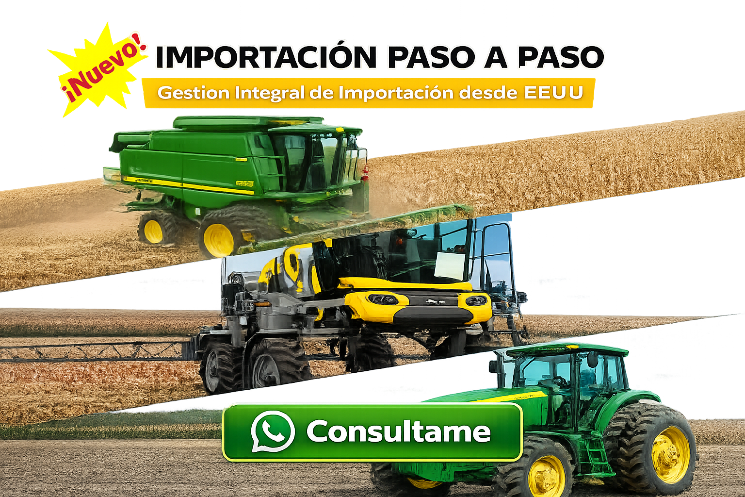 importacion-consultame2